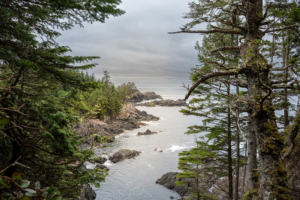 Exploring Ucluelet